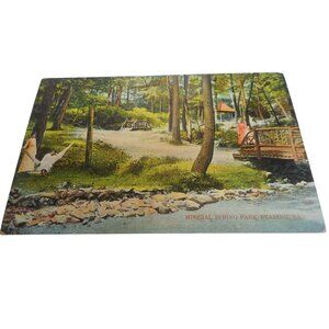 Vtg Postcard 1900s unposted Mineral Springs Park, Reading PA bridge people